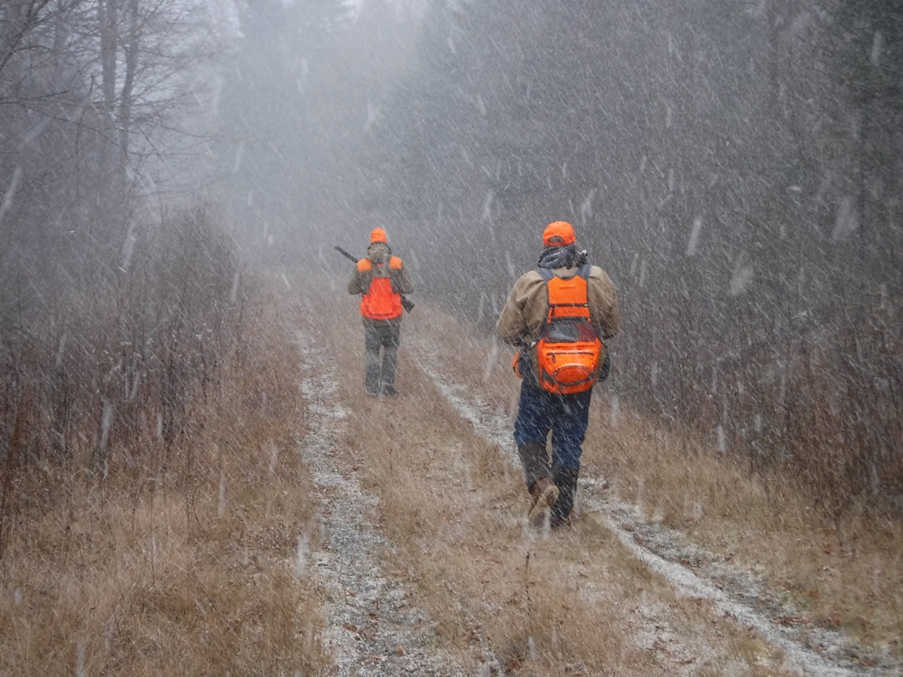 NH grouse hunting