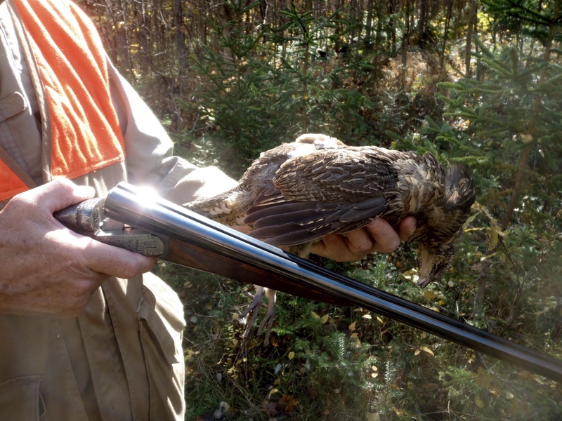 Chris was rewarded for his efforts with a ruffed grouse in hand