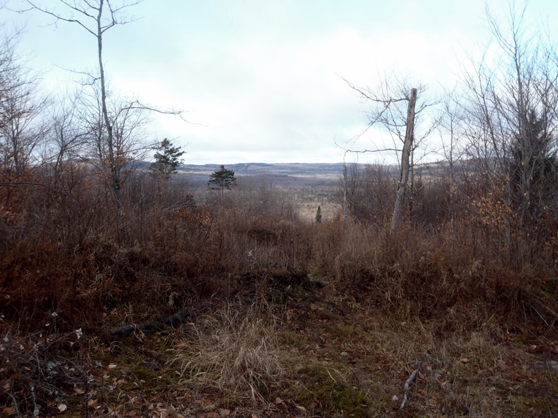 December logging cut in Pittsburg NH