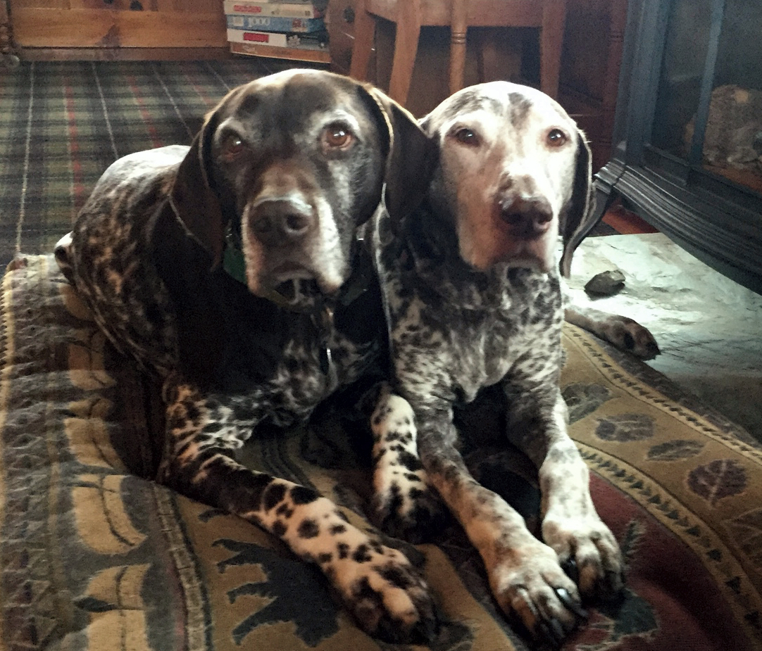 Greta and her best friend Rudy