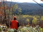 Pittsburg NH grouse hunting