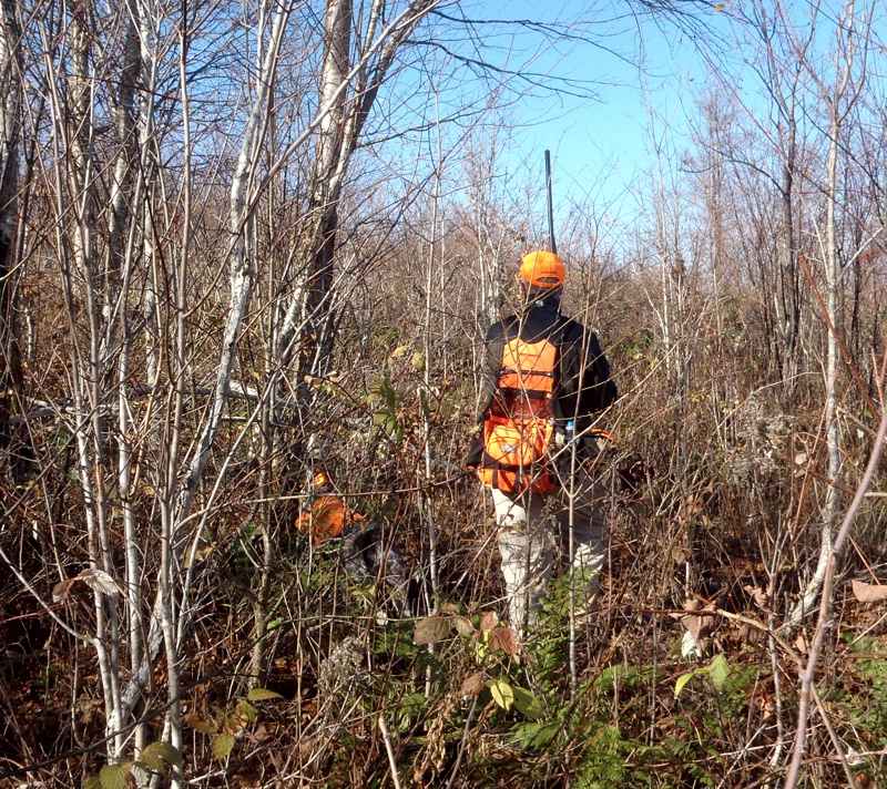 Grouse hunting at Tall Timber Lodge