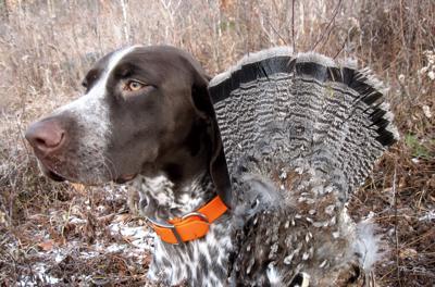 Monty with his Vermont grouse