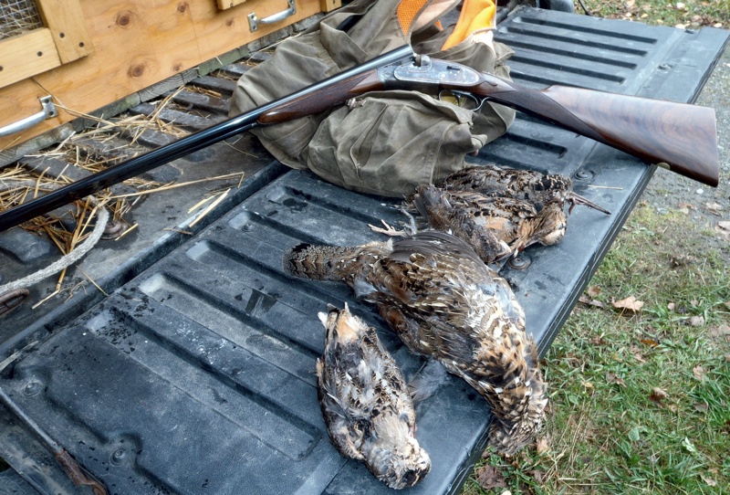 NH grouse and woodcock hunting