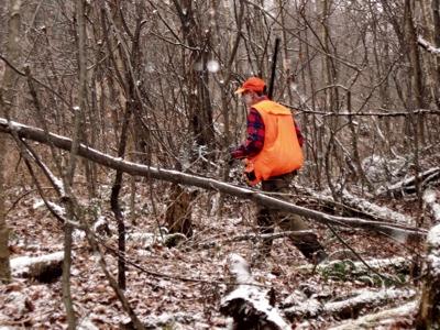 Vermont grouse hunting