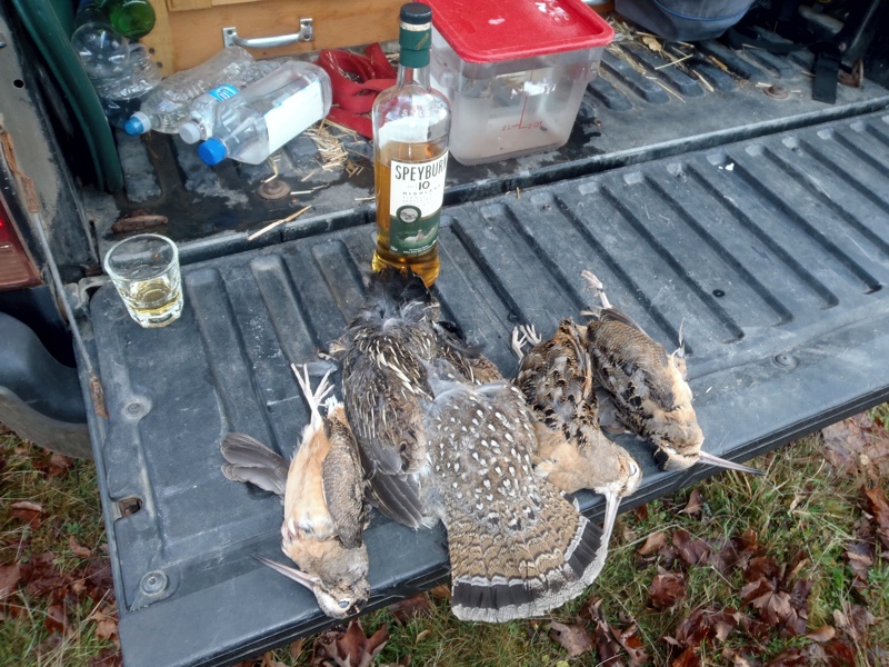 We had some good days grouse and woodcock hunting in NH