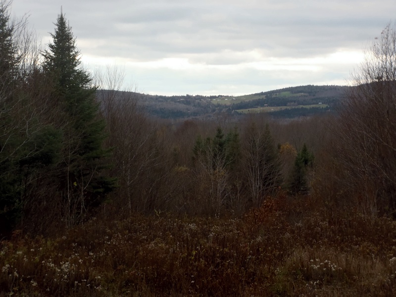 Northern NH scenery