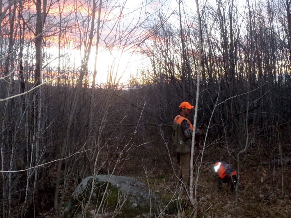 Vermont ruffed grouse hunting