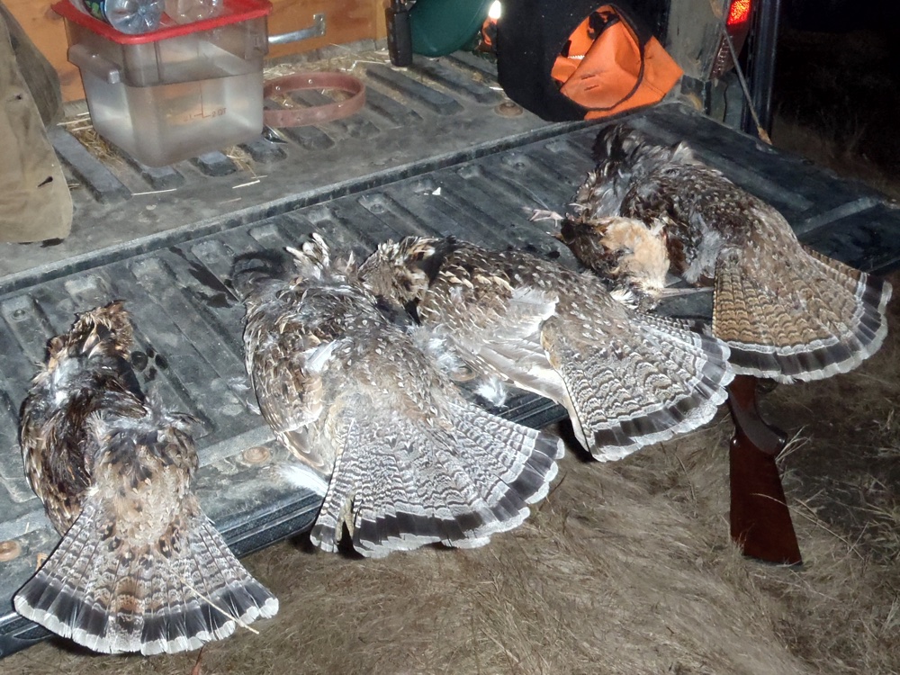 A great day of Vermont ruffed grouse hunting