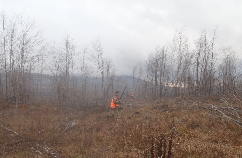 Northern Vermont grouse hunting