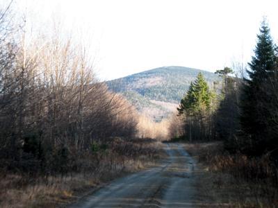 Vermont grouse hunting scenery