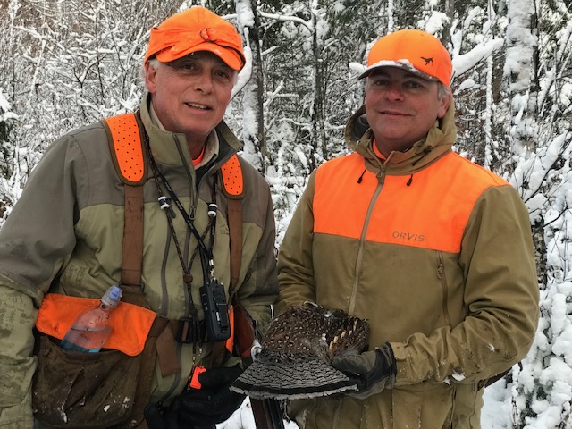 Winter grouse hunting in NH and Vermont