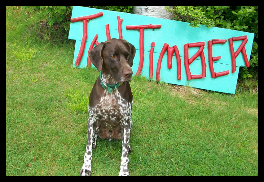 Tall Timber mascot Rudy