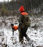 NH grouse hunting