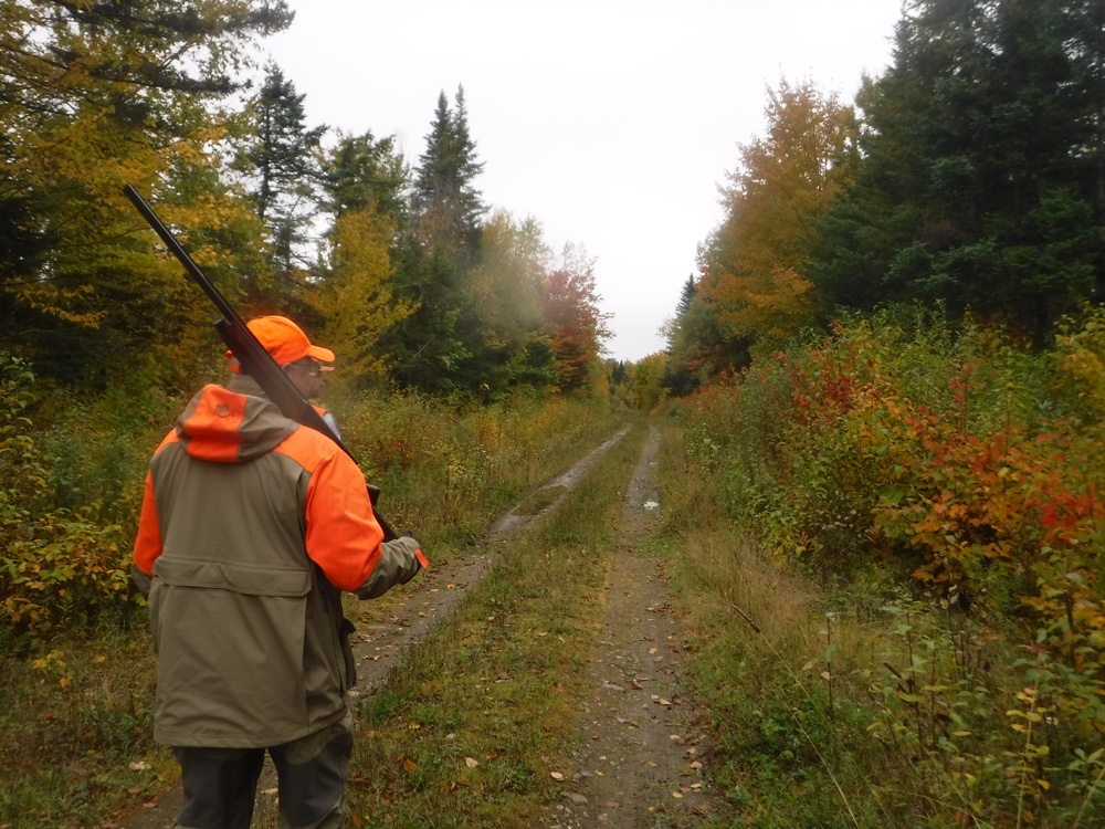 Early season grouse hunting in NH