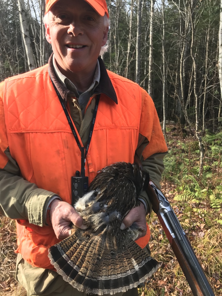 Vermont ruffed grouse hunting