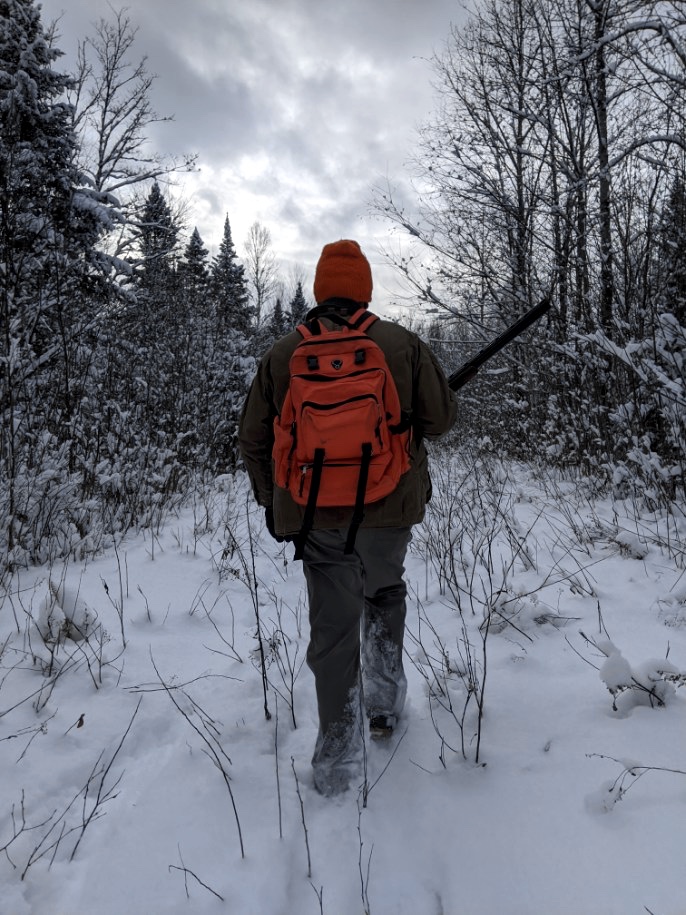 Winter grouse hunting in northern NH