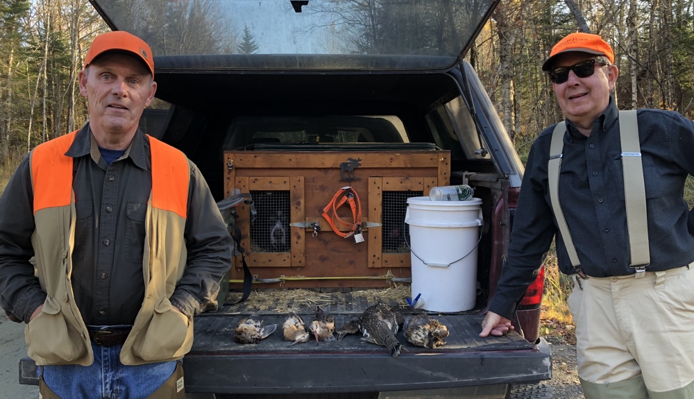 Upland bird hunting in NH