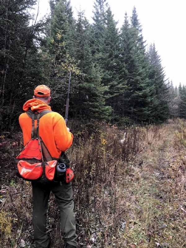 Grouse hunting in New Hampshire