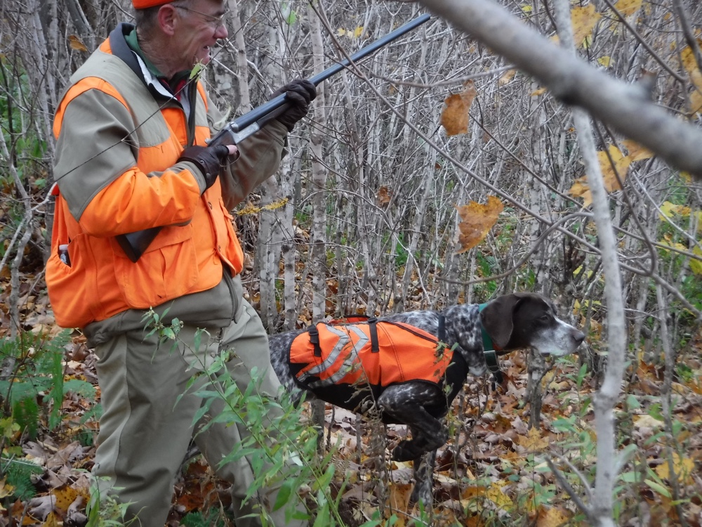 Monty points a grouse while Paul moves in