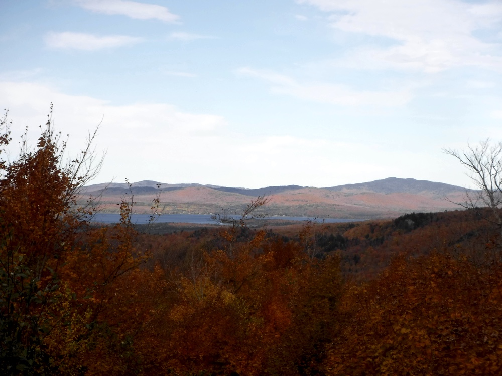 Northern NH grouse hunting