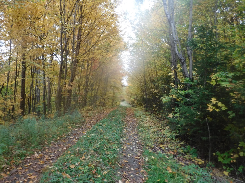 Another beautiful grouse hunting road