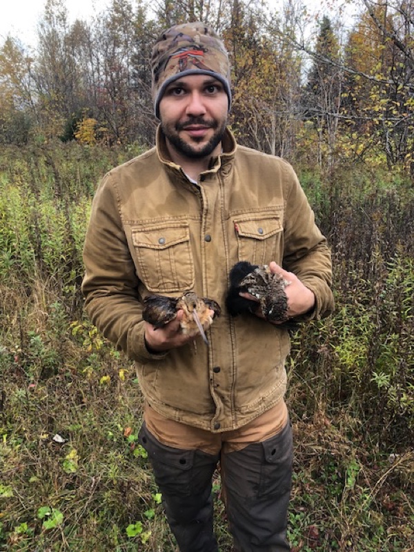 Ruffed grouse hunting in New Hampshire