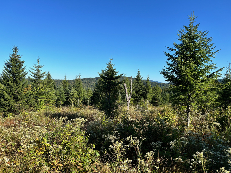 New Hampshire highlands