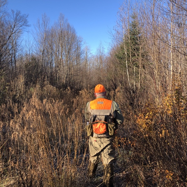 Ruffed grouse hunting in Vermont