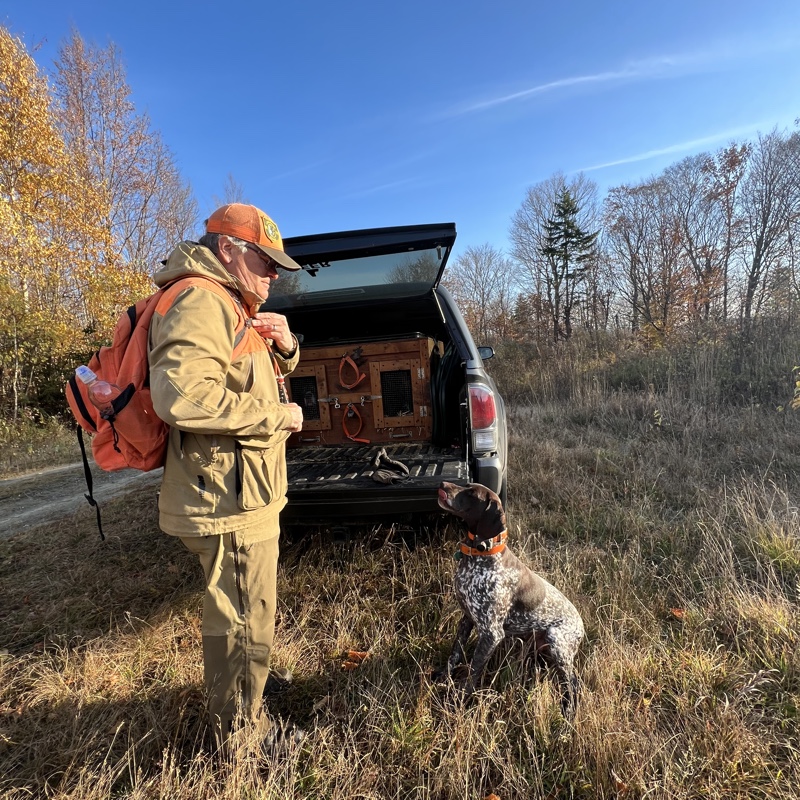 Grouse hunting in New Hampshire