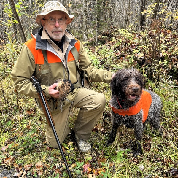 Ruffed grouse hunting in New Hampshire