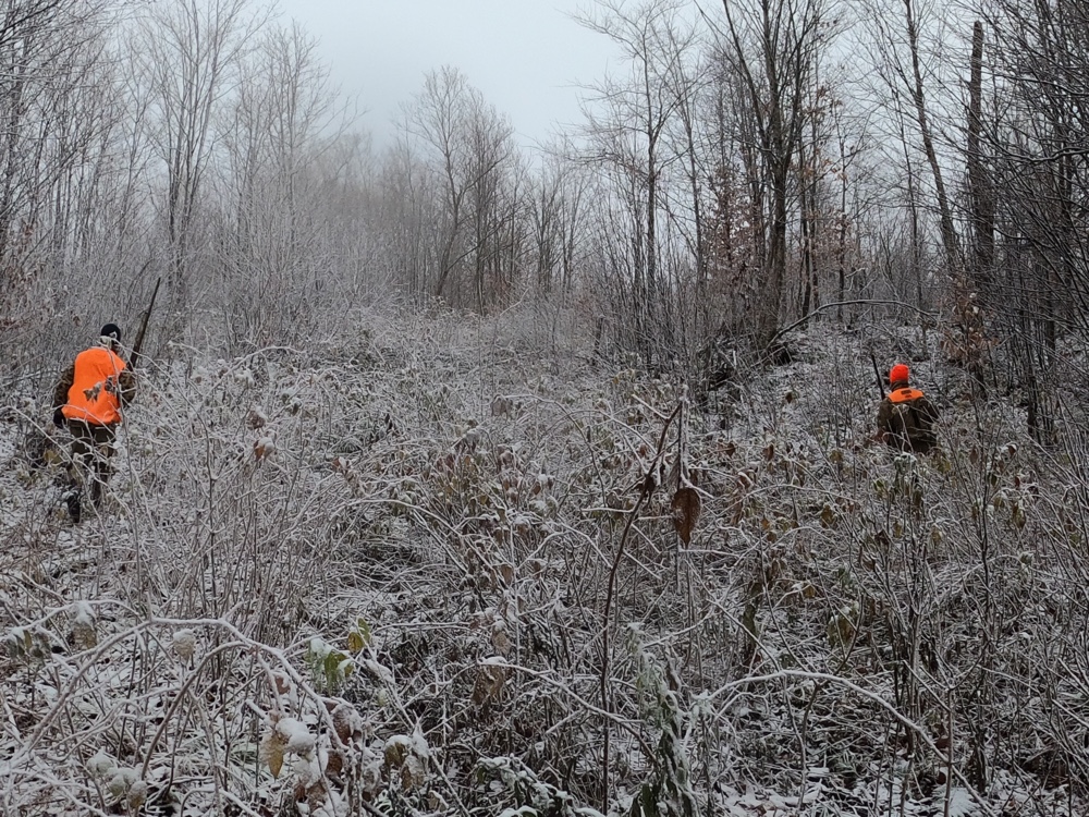 Grouse hunting in northern New Hampshire with Frost Fire Guide Service