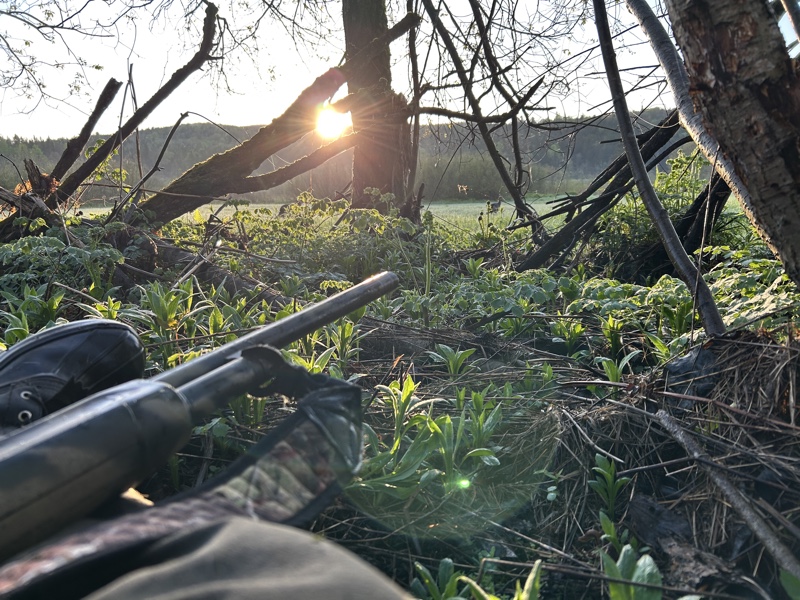 Wild turkey hunting in northern New Hampshire